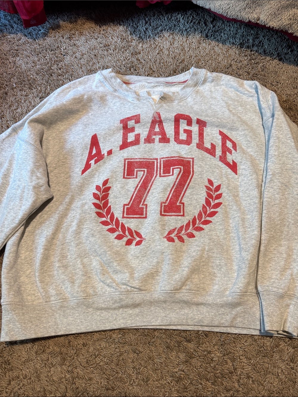 American Eagle Outfitters Gray Crewneck Sweatshirt with Red Graphic